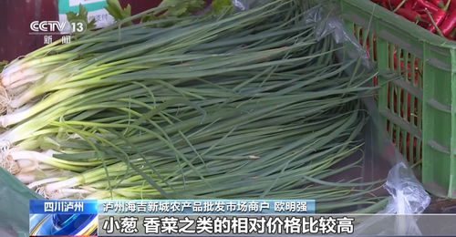 高溫炙烤下的民生守護 四川多地延期開學，全力保障農產品供應